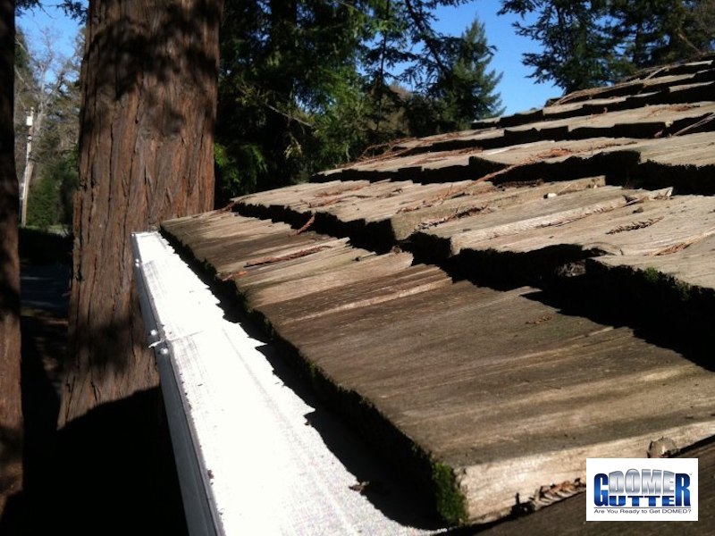 GutterDome - GD45 - Cedar Shake - Pine Tree &amp; Logo