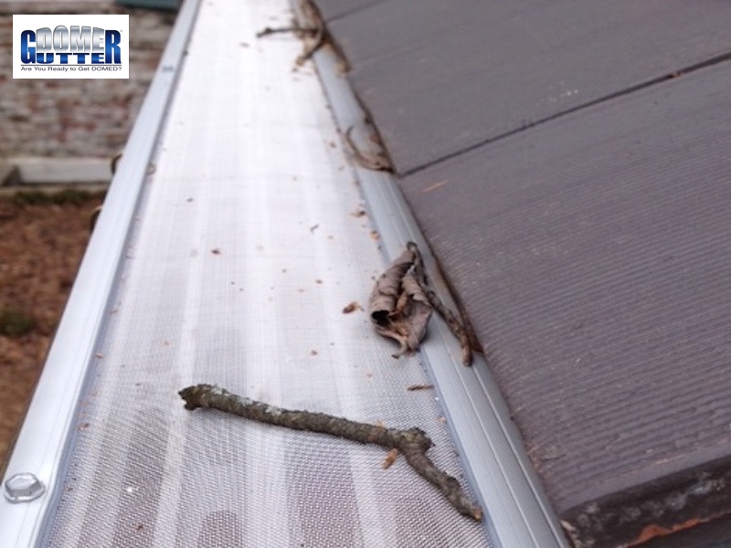 GutterDome - GD45 - Cedar Shake - Twigs & Logo