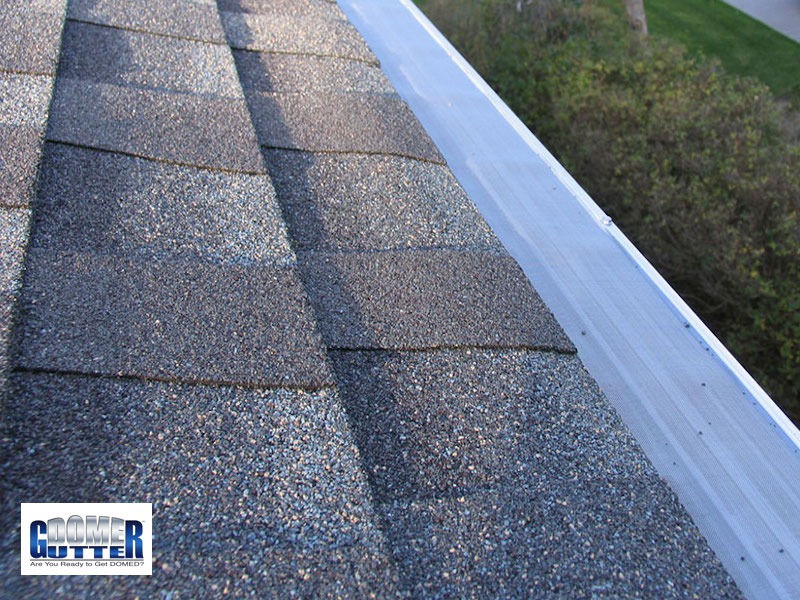 GutterDome - GD45 - Comp Shingle - Bush &amp; Logo