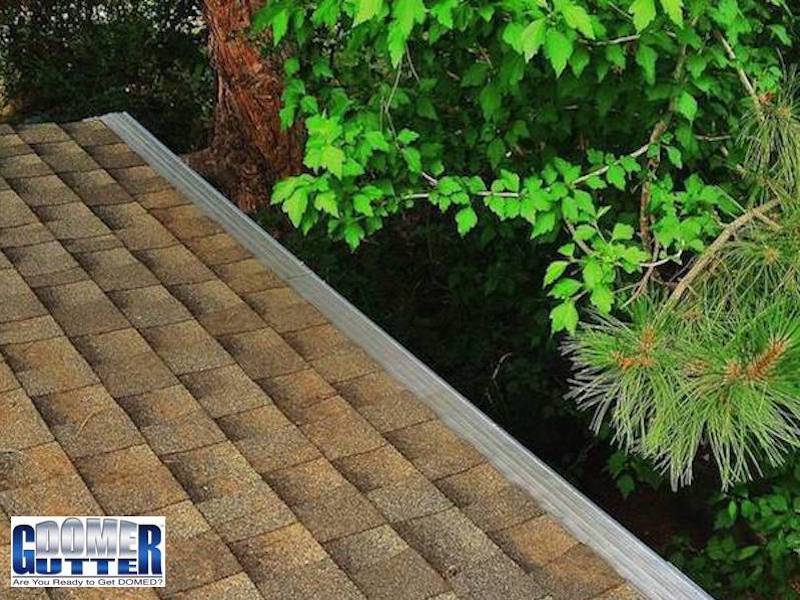 GutterDome-GD45-Comp-Shingle-Leaves-Pine-Needles-Logo