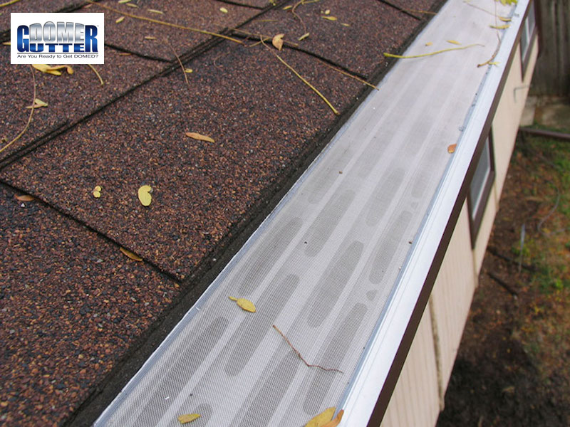 GutterDome - GD45 - Comp Shingle - Light Debris &amp; Logo