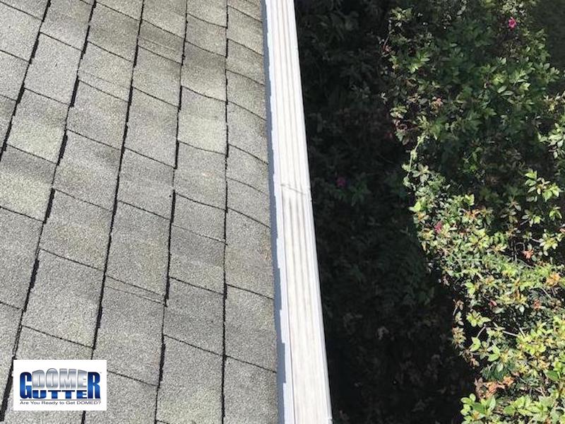 GutterDome-GD45A-Comp-Shingle-Shrubs-Logo