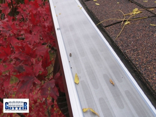 GutterDome - GD45A with Clynch Channel - Comp Shingle - Red Leaves &amp; Logo