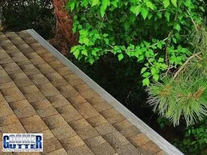 GutterDome micro-mesh guard on a comp-shingle home surrounded by pine and leaf trees