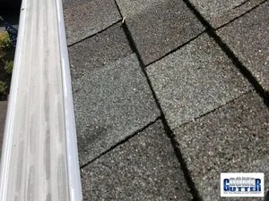 GutterDome stainless micro-mesh guard in a clean straight run on comp shingle